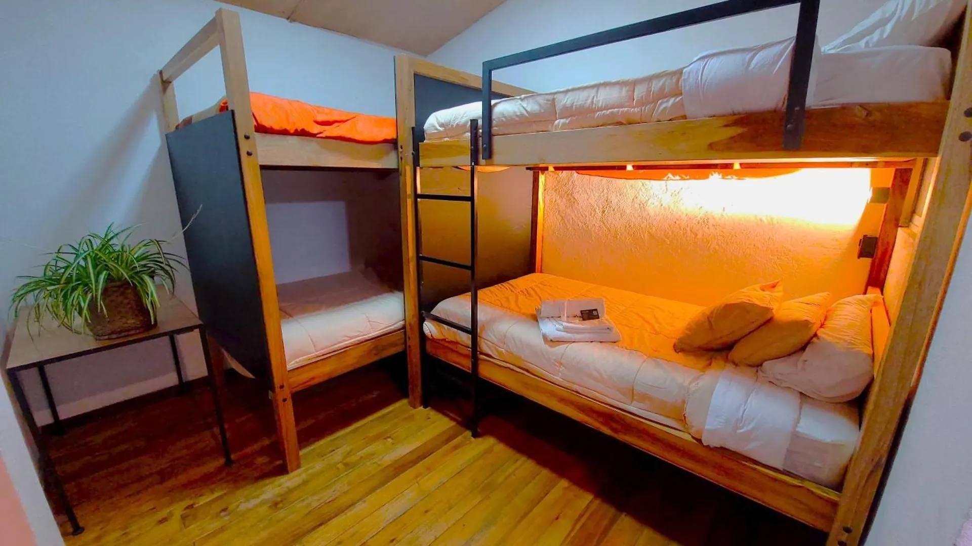 Sun Backpackers Hotell Quito Ecuador