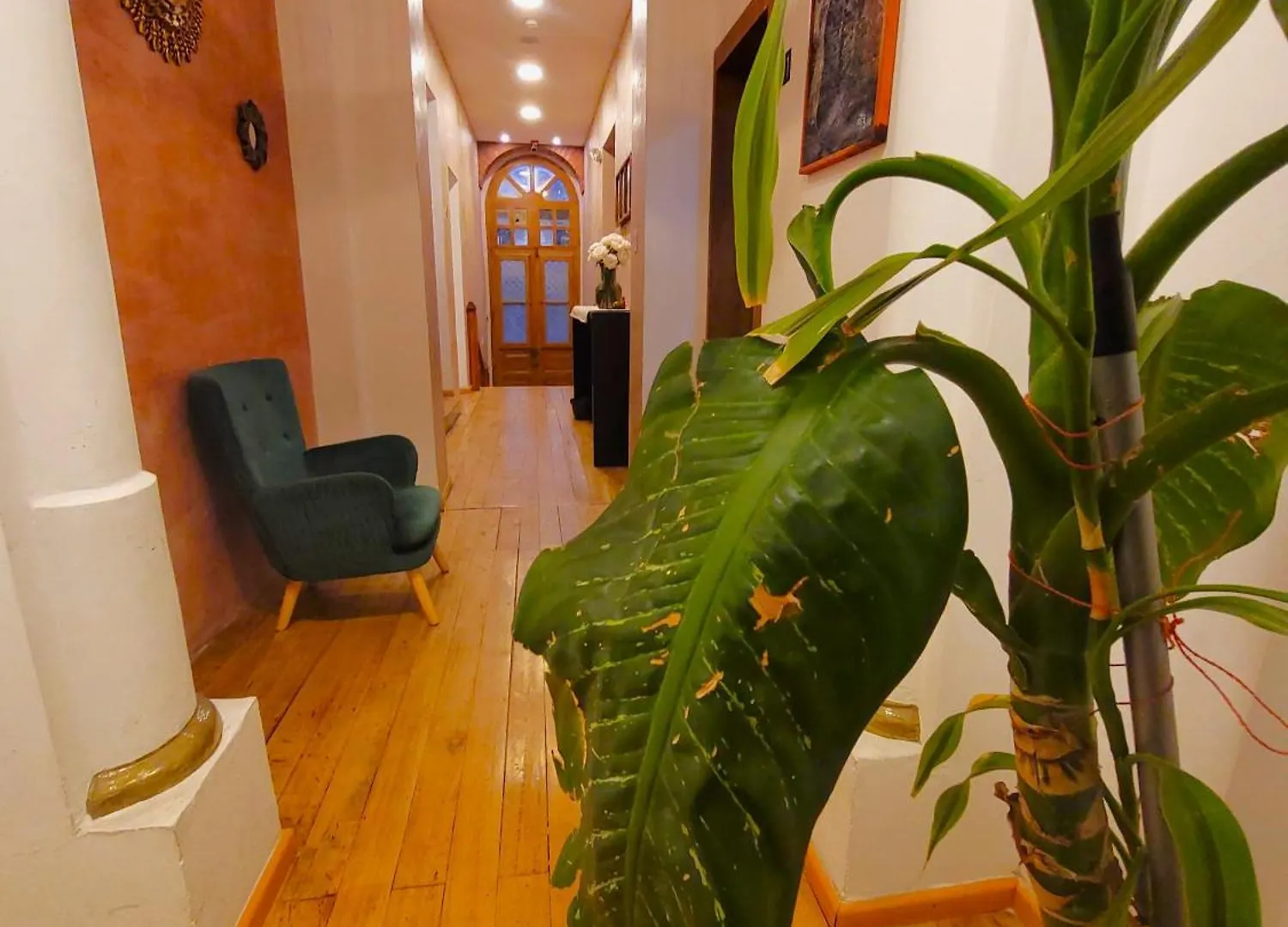 Sun Backpackers Hotell Quito