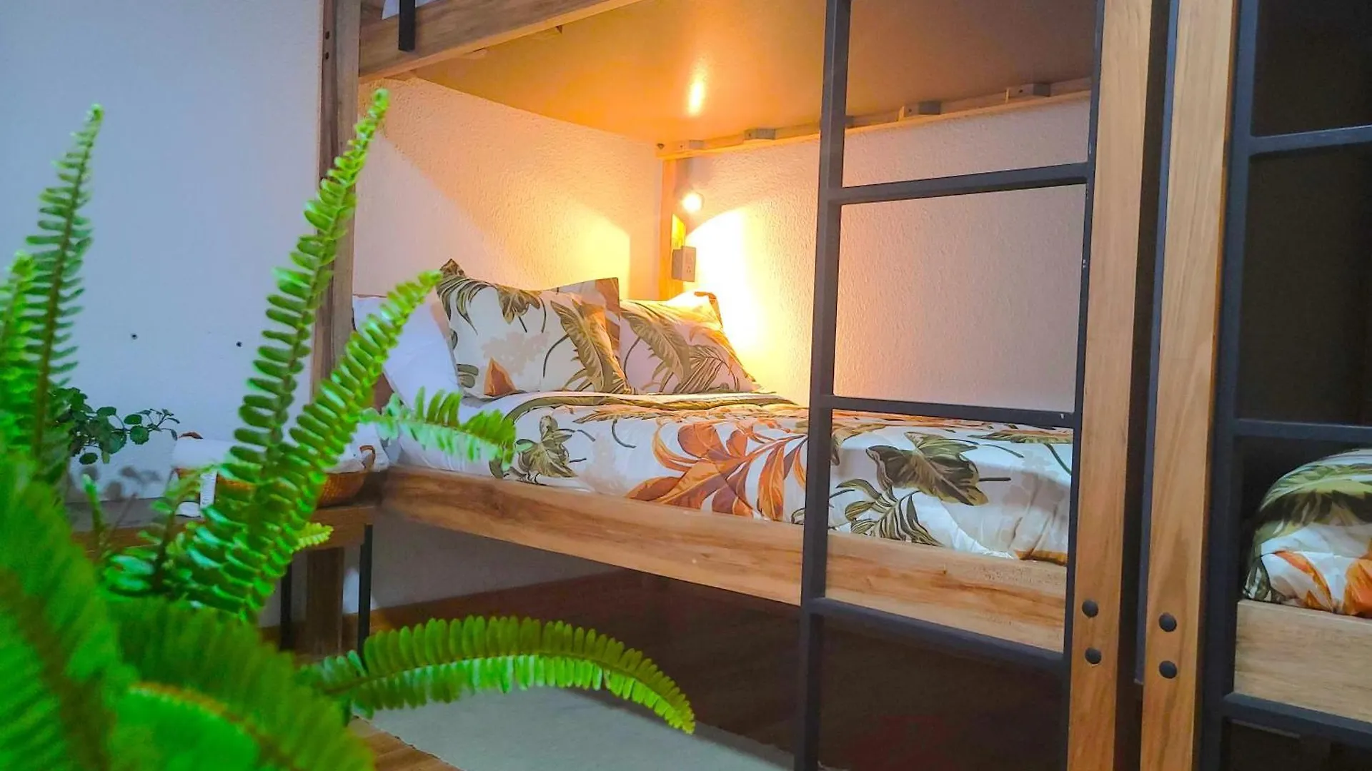 Sun Backpackers Hotell Quito