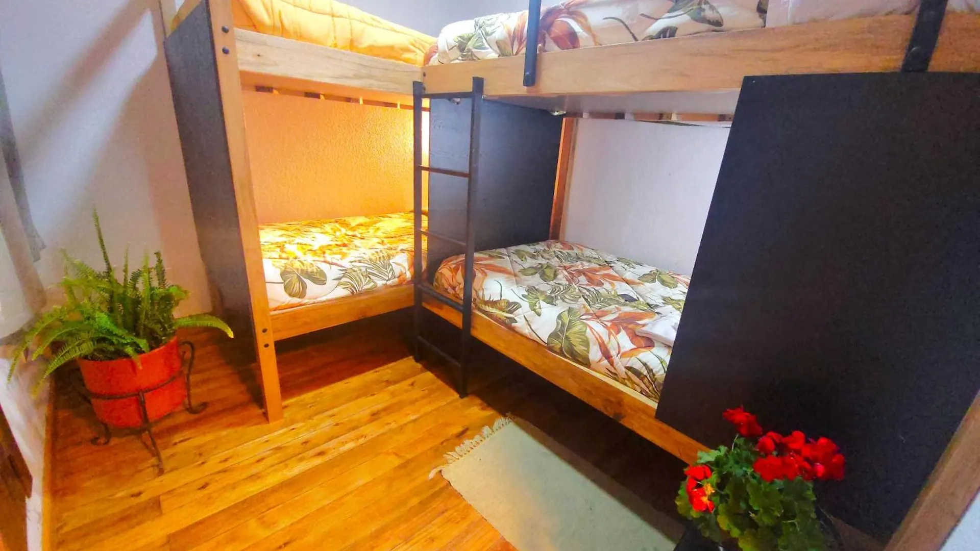 Sun Backpackers Hotell Quito