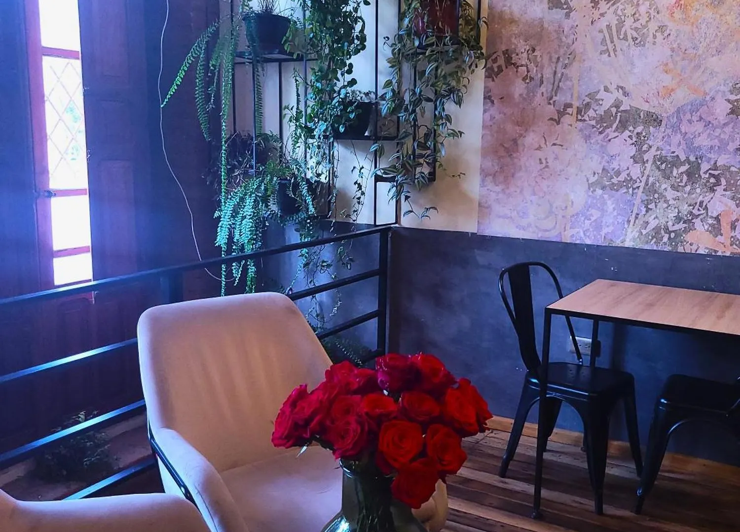 Sun Backpackers Hotel Quito Ecuador