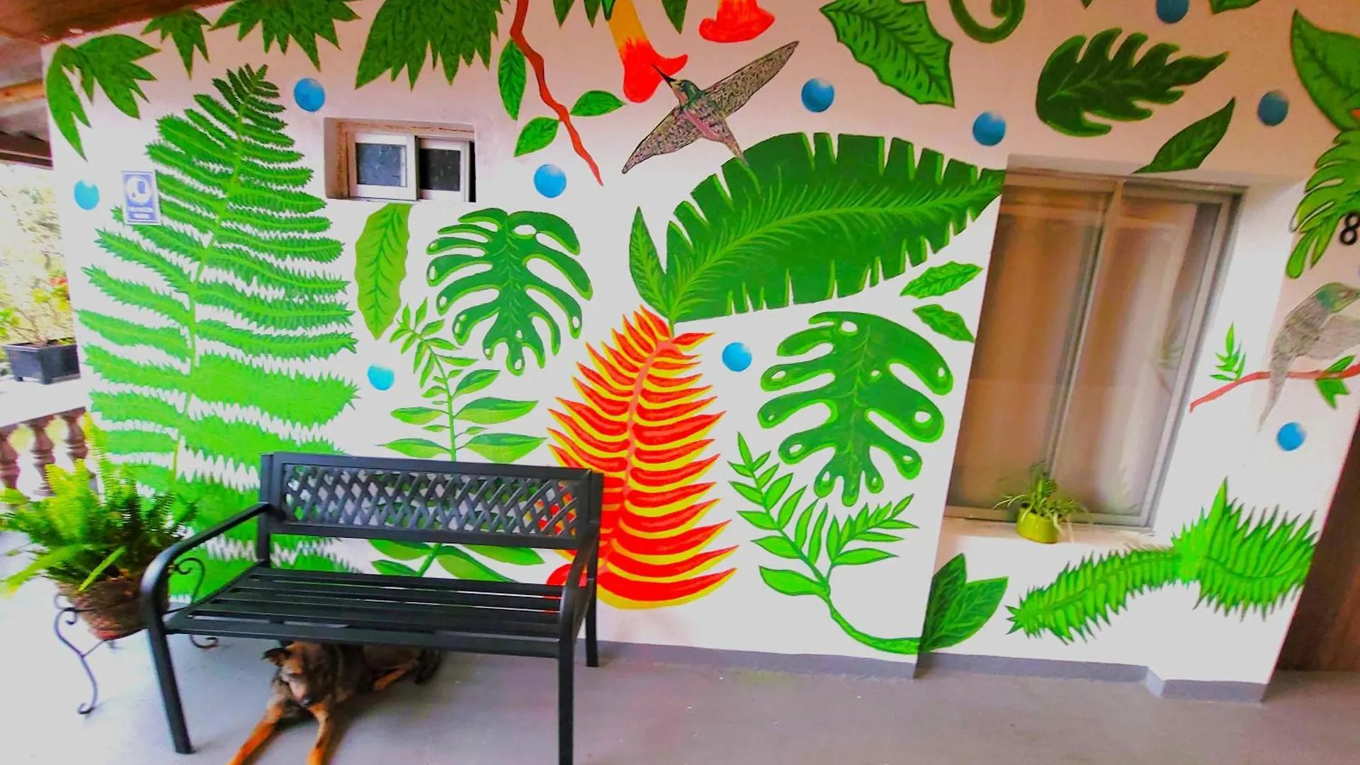 Sun Backpackers Hotel Quito